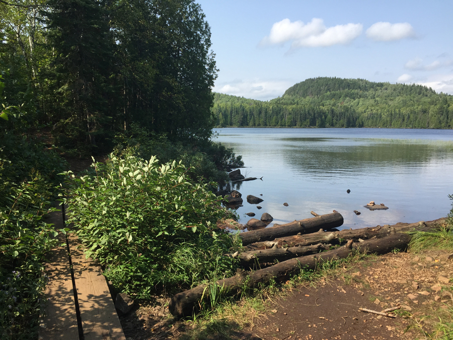 Whale Lake in the BWCA
